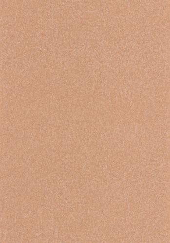 Papier  Peint Leathers Suedine Casadeco