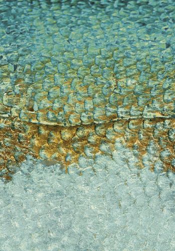 Panoramique Leathers Scales_m Casadeco