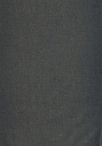 Papier  Peint Uni Caselio