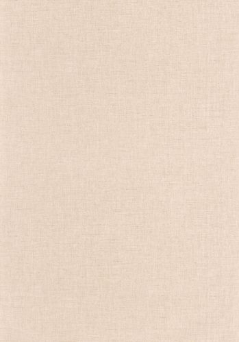 Papier  Peint Uni Mat Caselio