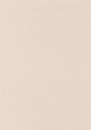 Papier  Peint Uni Mat Caselio