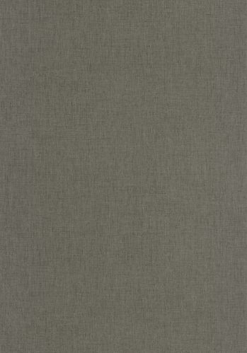 Papier  Peint Uni Caselio