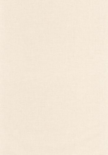 Papier  Peint Uni Mat Caselio