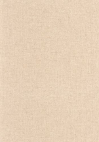 Papier  Peint Uni Mat Caselio