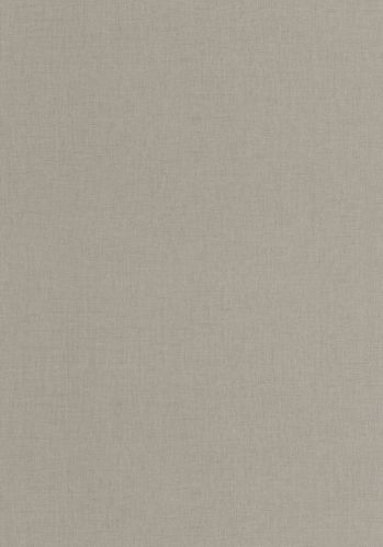 Echantillon Papier Peint Uni Mat Caselio