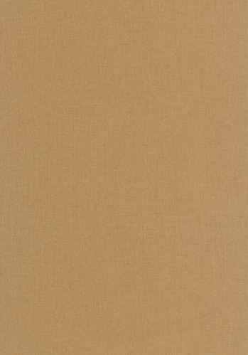Papier  Peint Uni Mat Caselio