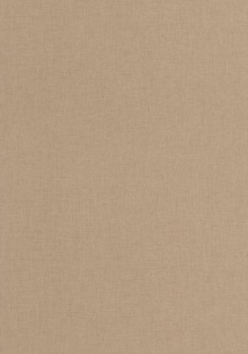 Echantillon Papier Peint Uni Mat Caselio