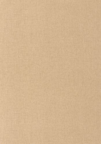 Echantillon Papier Peint Uni Mat Caselio