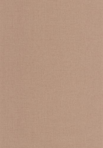 Echantillon Papier Peint Uni Mat Caselio