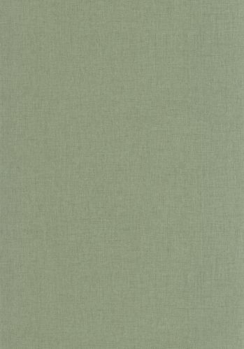 Echantillon Papier Peint Uni Mat Caselio