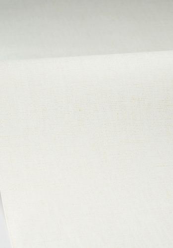 Papier  Peint Uni Metallise/irise Caselio