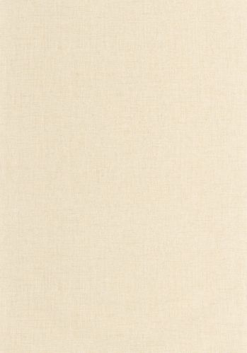 Papier  Peint Uni Mat Caselio