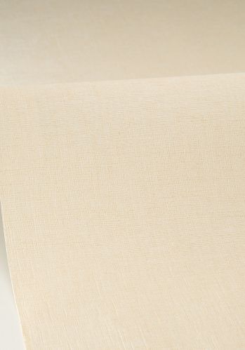 Papier  Peint Uni Mat Caselio