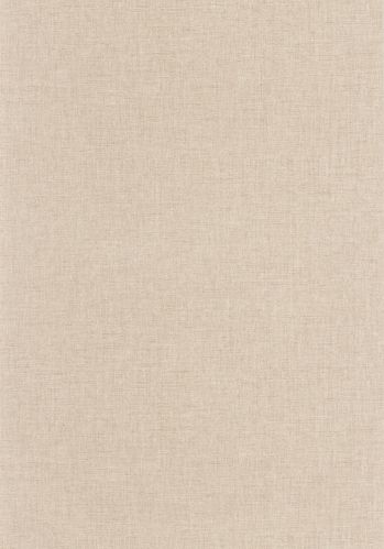 Echantillon Papier Peint Uni Mat Caselio