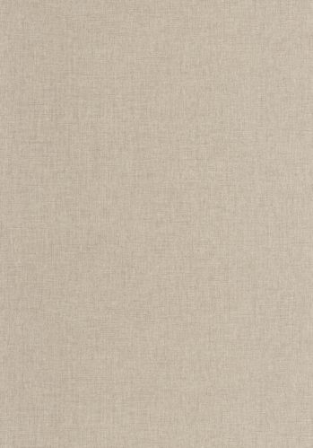 Echantillon Papier Peint Uni Mat Caselio