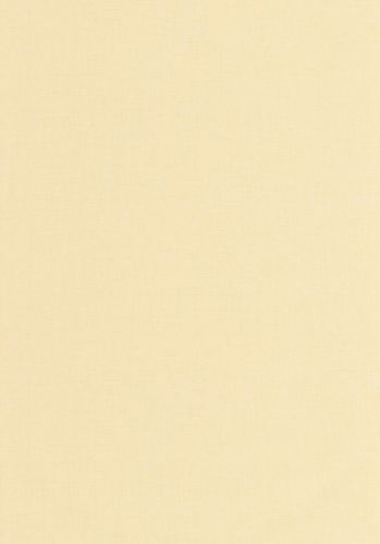 Papier  Peint Uni Mat Caselio