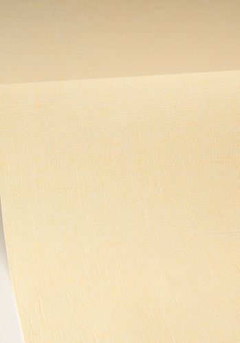 Echantillon Papier Peint Uni Mat Caselio