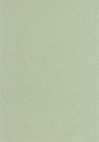 Papier  Peint Uni Mat Caselio