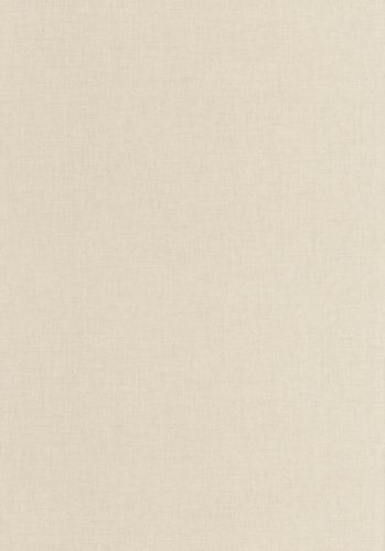 Echantillon Papier Peint Uni Mat Caselio