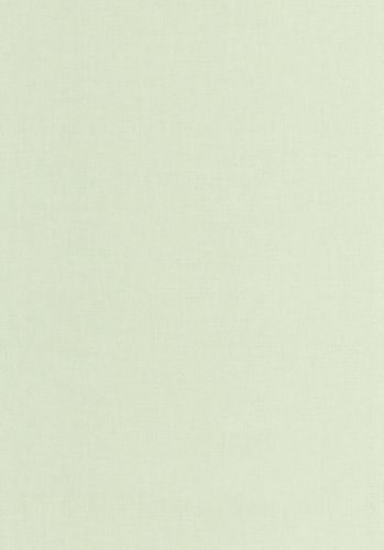 Papier  Peint Uni Mat Caselio