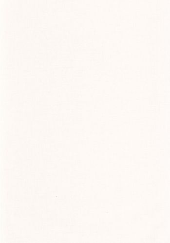 Echantillon Papier Peint Uni Mat Caselio