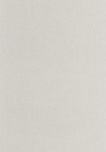 Papier  Peint Uni Mat Caselio