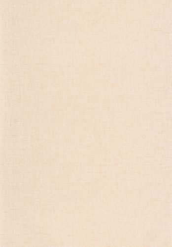 Papier  Peint Uni Metallise/irise Caselio