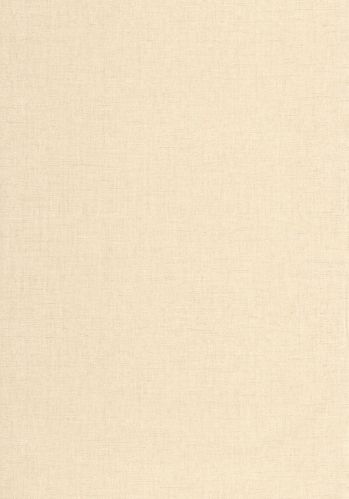 Papier  Peint Uni Metallise/irise Caselio