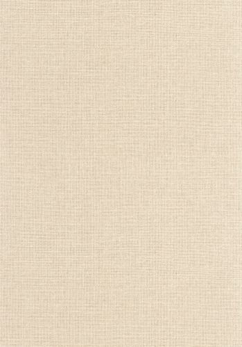 Papier  Peint Uni Mat Caselio