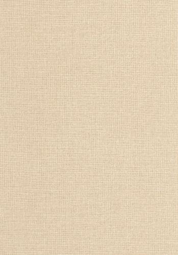 Echantillon Papier Peint Uni Mat Caselio