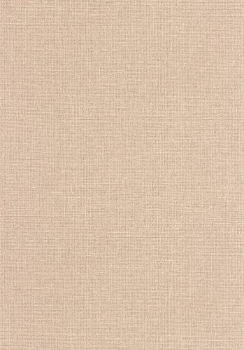 Papier  Peint Uni Mat Caselio