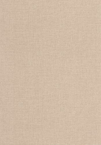 Papier  Peint Uni Mat Caselio