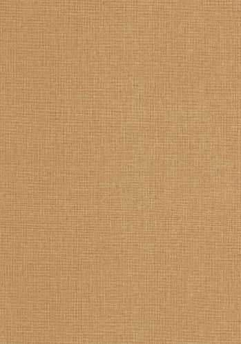 Papier  Peint Uni Mat Caselio