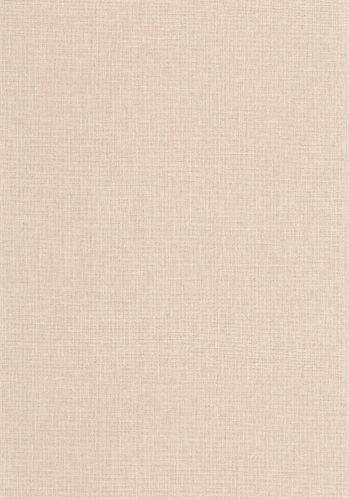 Papier  Peint Uni Mat Caselio