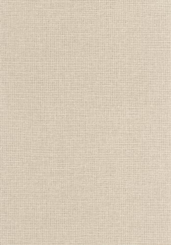 Papier  Peint Uni Mat Caselio