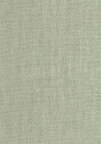 Echantillon Papier Peint Uni Mat Caselio