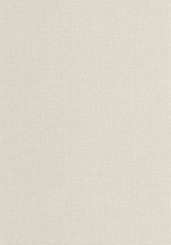 Papier  Peint Uni Mat Caselio