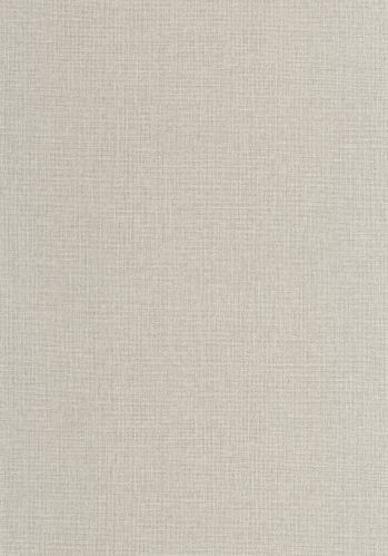 Papier  Peint Uni Mat Caselio