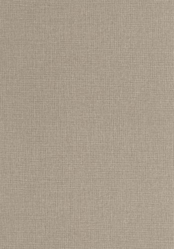 Papier  Peint Uni Mat Caselio