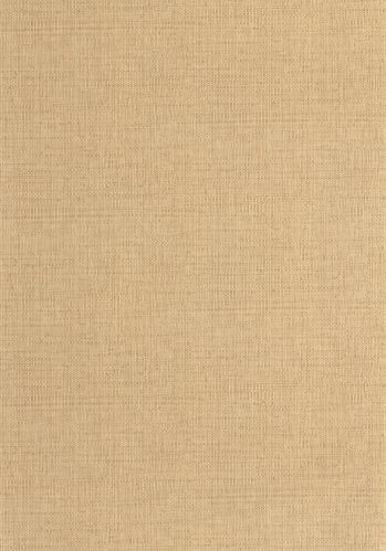 Echantillon Papier Peint Raphia Caselio