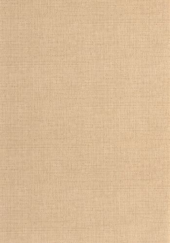 Echantillon Papier Peint Raphia Caselio