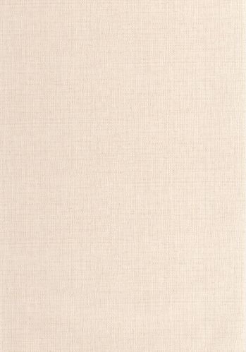 Echantillon Papier Peint Raphia Caselio