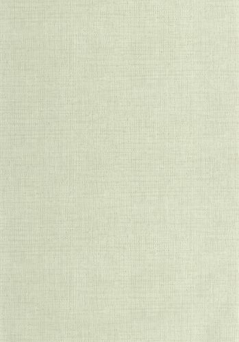 Echantillon Papier Peint Raphia Caselio