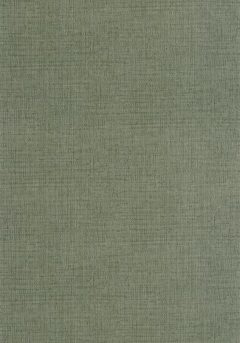 Echantillon Papier Peint Raphia Caselio