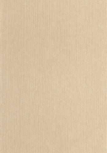Echantillon Papier Peint Sisal Caselio