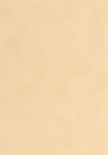 Echantillon Papier Peint Uni Mat Caselio