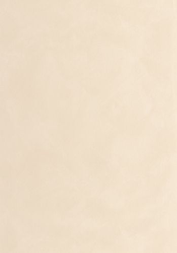 Papier  Peint Uni Mat Caselio