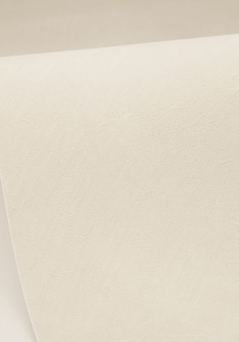 Echantillon Papier Peint Uni Mat Caselio