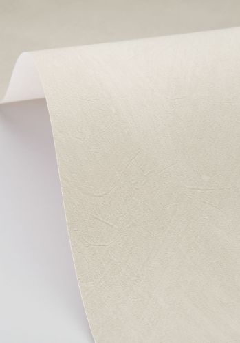 Papier  Peint Uni Mat Caselio