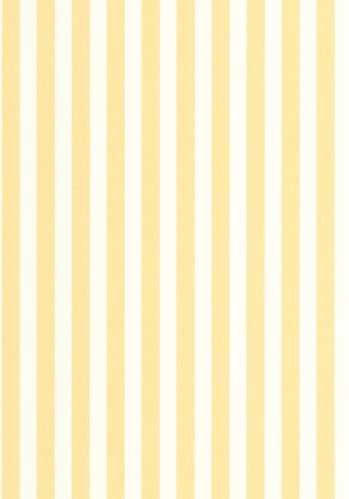 Papier  Peint Bold Line Caselio